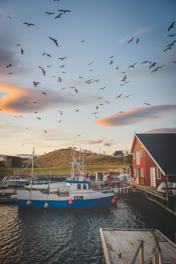 Kvarøy Arctic