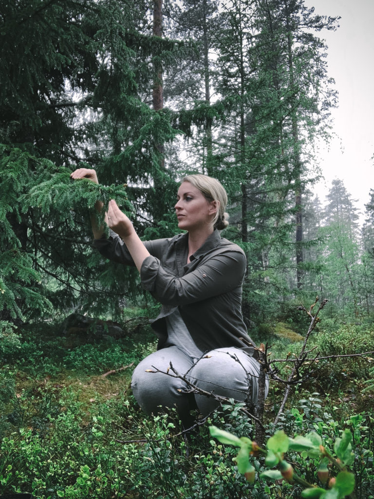 Beginner's Guide to Spring Foraging