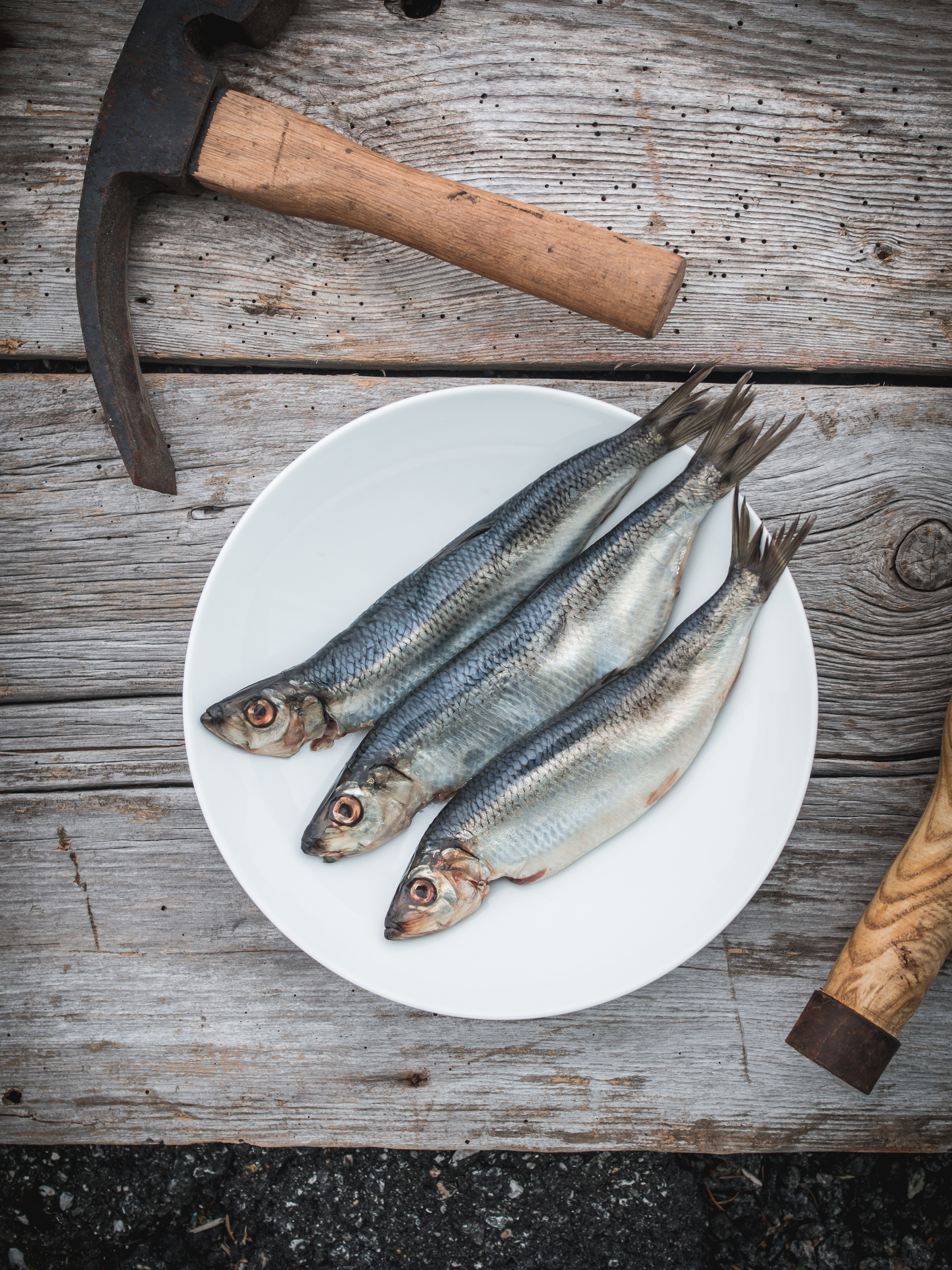 Herring: Juviksild