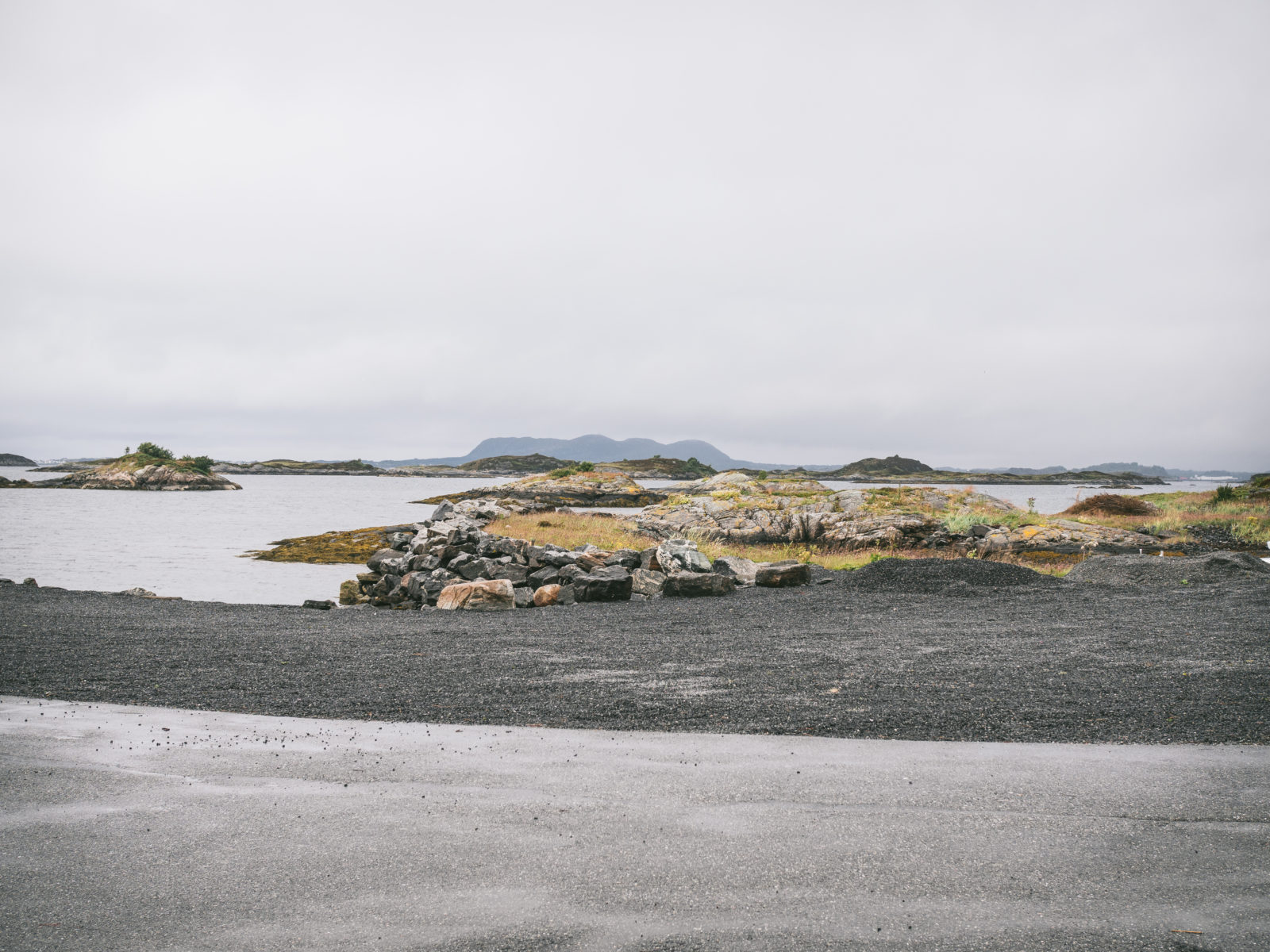 Herring: Juvik Sild
