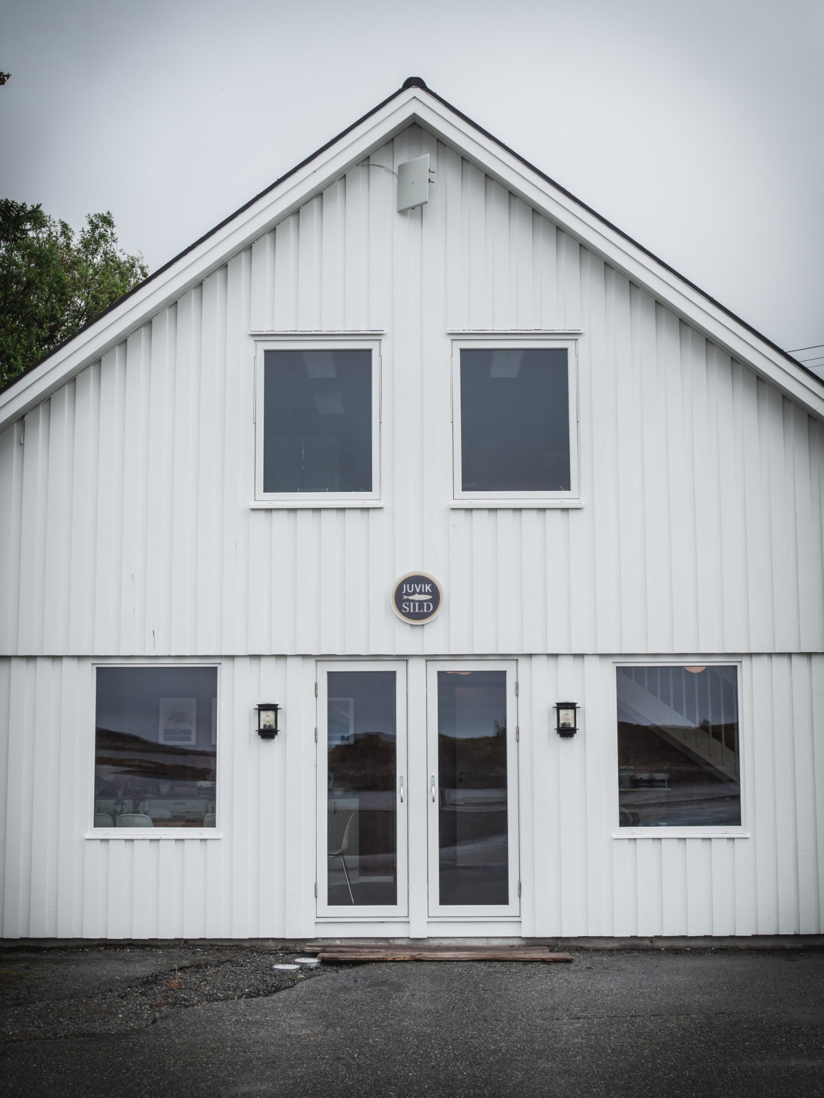 Herring: Juvik Sild